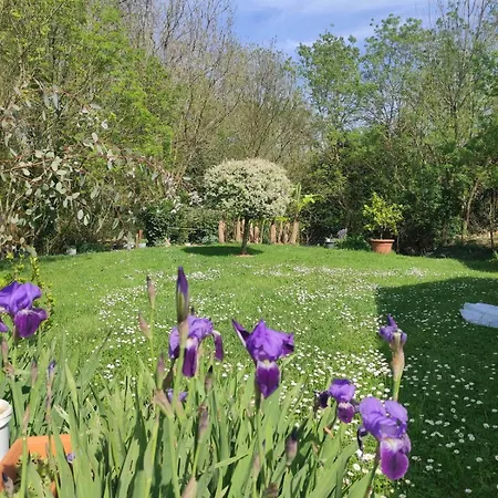 Villa Familial Marais Poitevin Les Glycines *